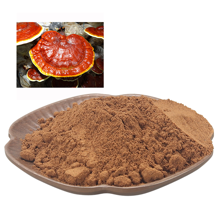 Discover the Science Behind Beta-Glucans in Reishi